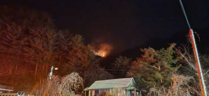 강원 양양군 한 야산에서 22일 산불이 발생했다. 사진은 산불 현장의 모습. /사진=뉴스1  