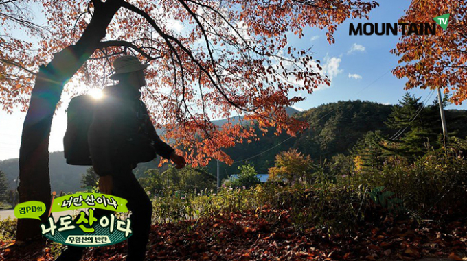 잘 알려지지 않은 산의 자연과 인문, 그리고 역사를 담아온 '김PD의 너만 산이냐 나도 산이다'에서는 진정한 자연의 아름다움을 선사한다. 제왕산으로 가는 산행 초입. /사진=마운틴TV 제공