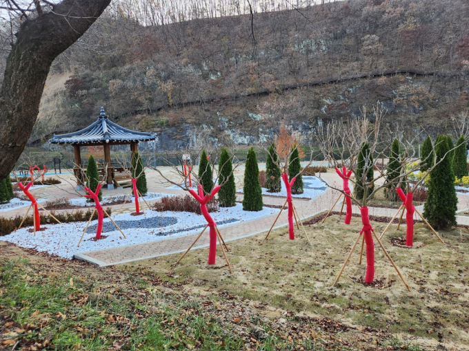 의성군이 의성읍 원당삼거리 일대와  남대천 실외정원 등에 설치한 수목 보호대 모습./사진제공=경북 의성군