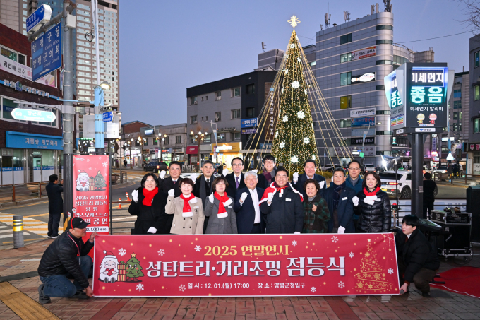 전진선 양평군수(앞줄 왼쪽 다섯번째)가 지난 1일 군 청사 입구에서 열린 '2025년 연말연시 성탄트리·거리조명 점등식'에 참석해 관계자들과 사진 촬영을 하고 있다. /사진제공=양평군