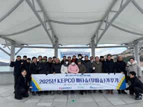 한국전력이 군산 앞바다에 해양 탄소흡수원 잘피 8만주를 이식했다. /사진=한국전력