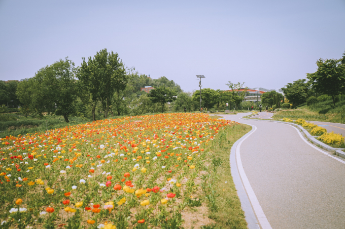5월의 오산천 풍경. /사진제공=오산시