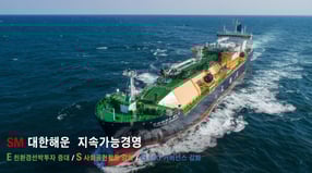 대한해운이 한국ESG기준원이 발표한 2025년도 정기 ESG 평가에서 종합 B등급을 획득했다. /사진=SM그룹