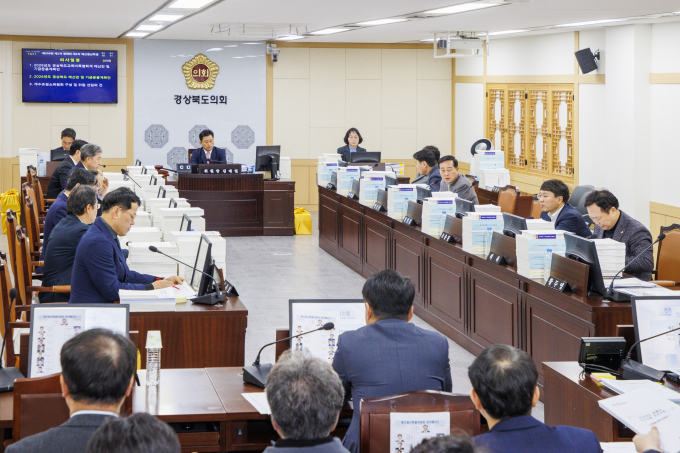 경상북도의회 예산결산특별위원회가 지난 4일 미래전략기획단·지방시대정책국·저출생극복본부 등 9개 실·국을 대상으로 2026년도 예산안 심사를 진행하고 있다./사진제공=경북도의회