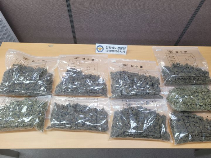                             전남경찰청 마약수사계가 압수한 대마초/사진제공=전남경찰