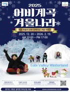 '2025 어비계곡 겨울나라'축제 포스터. /사진제공=가평군