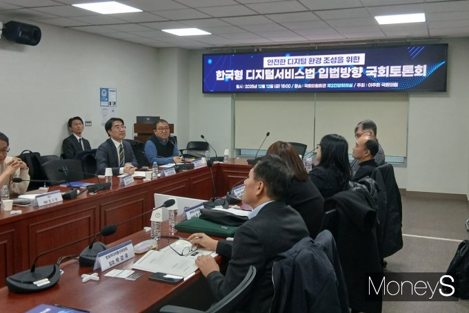12일 서울 여의도 국회의원회관 제2간담회의실에서 열린 '한국형 디지털서비스법 입법방향' 국회토론회 모습. /사진=지선우 기자
