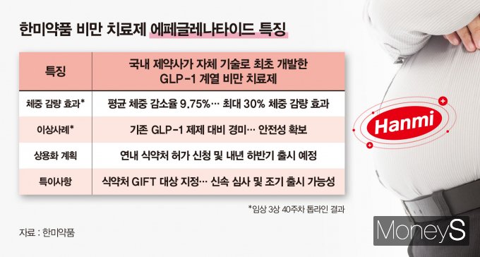 한미약품 에페글레나타이드 출시 후 국내 비만 치료제 시장이 재편될 전망이다. /그래픽=강지호 기자
