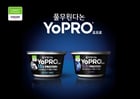 풀무원다논이 글로벌 유제품 기업 다논(Danone)의 고함량 프로틴 요거트 브랜드 &#039;요프로&#039;(YoPRO)를 국내에 공식 론칭한다. /사진=풀무원