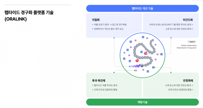 차세대 비만 치료제를 개발 중인 국내 기업이 주목된다. 사진은 디앤디파마텍의 경구화 플랫폼 기술 오랄링크 설명. /사진=디앤디파마텍