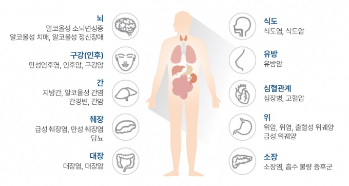 장기별로 살펴보는 알코올의 영향/사진=동남권원자력의학원