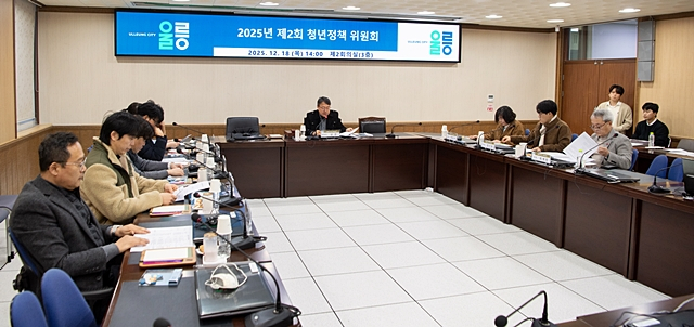 지난 18일 울릉군청 제2회의실에서  제2회 울릉군 청년정책위원회 회의가 열린 모습./사진제공=경북 울릉군