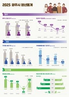 '2025 광주시 청년 통계' 자료. /자료제공=광주시