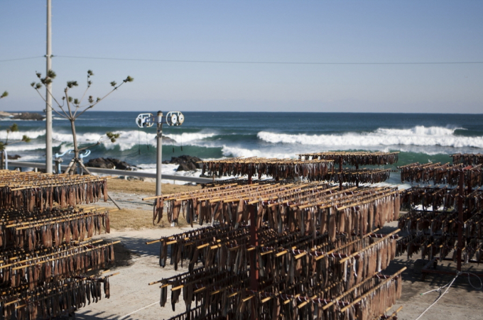 "포항에서 겨울바다의 낭만 즐겨보세요" - 뉴스 썸네일 이미지